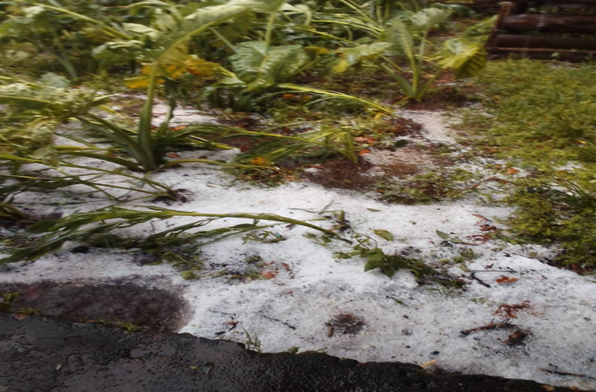 Mwaro : Des pluies diluviennes anéantissent l'espoir des agriculteurs de Rusaka